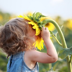 girl smelling sunflower happiness